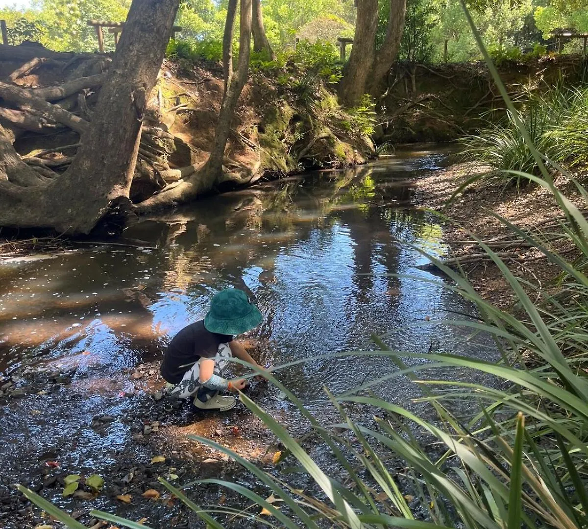 The River Retreat With Pool Tweed Heads